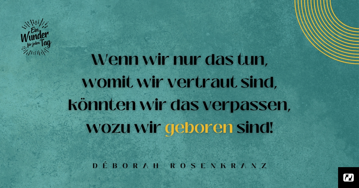 Bist du unzufrieden Ein Wunder für jeden Tag